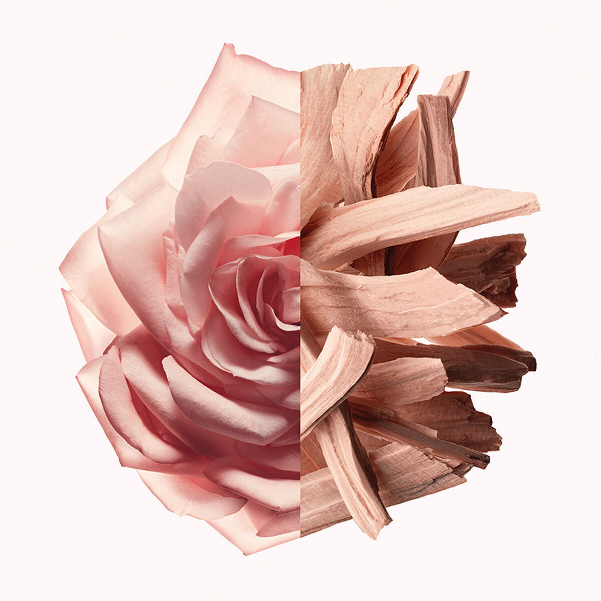 V3H33B8A5FDB6CD739A6CAB06FF9E7215C7R5674675P2